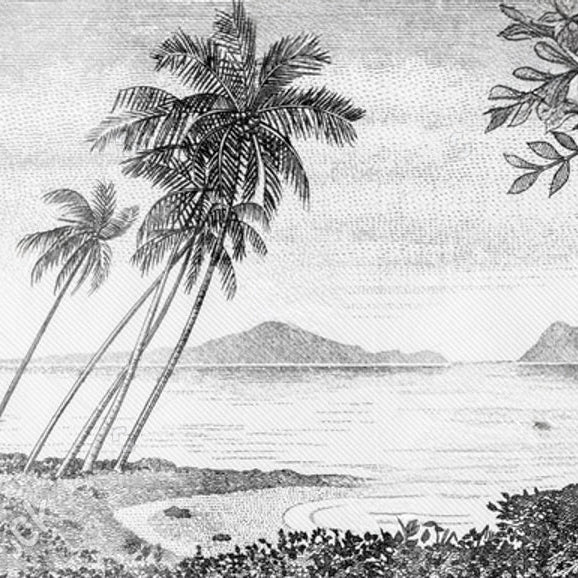 Décoration murale panoramique noir et blanc – plage exotique avec palmiers et mer pour un intérieur contemporain